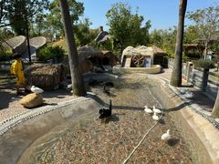 -珠海海泉湾神秘岛亲子乐园