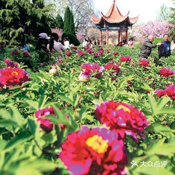 花的海洋，美的气息，爽的心情！