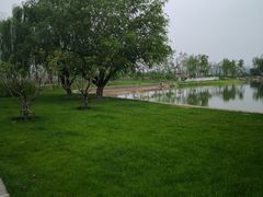 -西海子公园