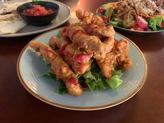 辣鸡条-萨尔瓦多Salvador's