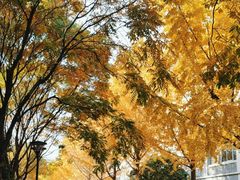 -江南大学(蠡湖校区)