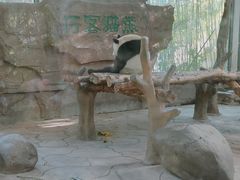 -宁波野生动物园