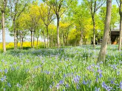 -天津东丽湖风景区