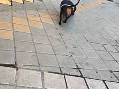 -向西村(地铁站)