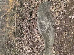 -南京金牛湖风景区