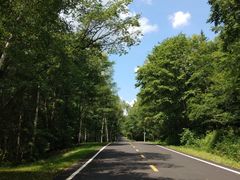 -五营红松林海景区