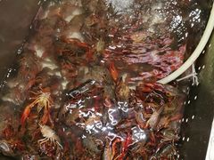 -拙味兄弟龙虾(新香洲店)