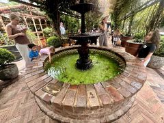 -The Grounds of Alexandria