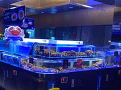-同庆楼(天鹅酒家店)