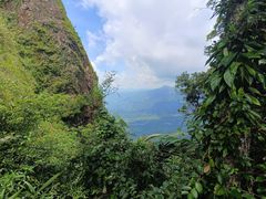 -七仙岭温泉国家森林公园