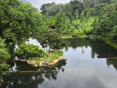 -云溪植物园
