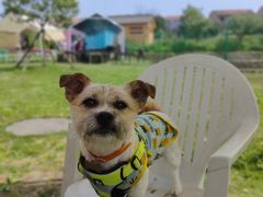 -梁子湖东篱老屋生态庄园