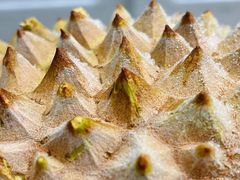 -开皇马来西亚榴莲美食店(华强北店)