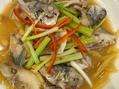 普宁豆酱烧海杂鱼-盛中钰广味小馆