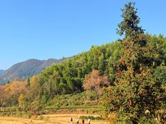 -塔川景区