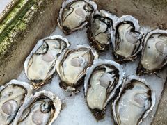 -隆都四季香饭店(碧海路店)