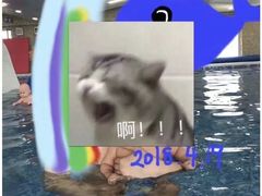 -小小王国亲子游泳俱乐部(锦辉中心)