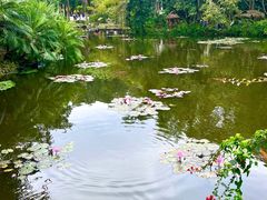 -中国科学院西双版纳热带植物园