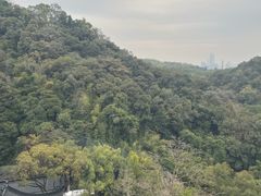 -广州市白云山风景名胜区