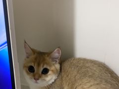 -佳雯宠物医院·皮肤科·内外科(春晓路分院)