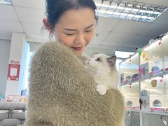 -lincat·猫舍(广州店)