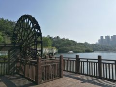 -重庆彩云湖湿地公园