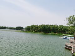 -大兴滨河森林公园