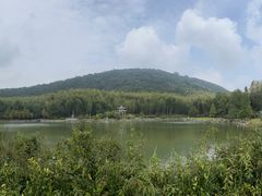 -游子山休闲旅游区