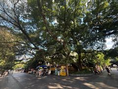-桂林独秀峰王城景区