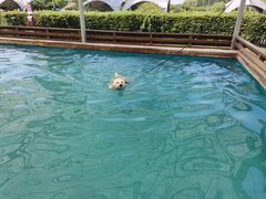 -太阳岛度假酒店