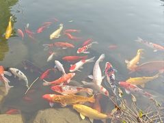 -中国茶叶博物馆(双峰馆区)