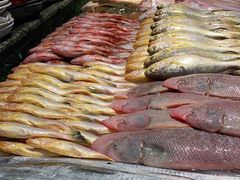 -健跳小海鲜(人民路店)