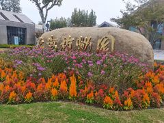 -上海植物园-4号门售票处