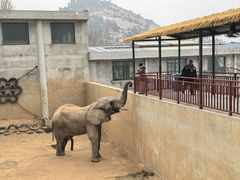 -西霞口神雕山野生动物世界