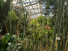 -呀路古热带植物园