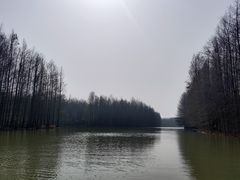 -上海海湾国家森林公园