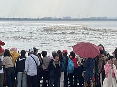 -观潮胜地公园