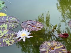 -国家植物园南园