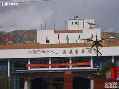 -西藏自治区图书馆
