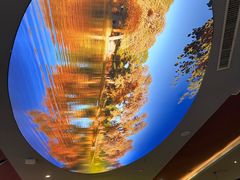 -阿达西新疆特色美食(悦海新天地中央广场店)