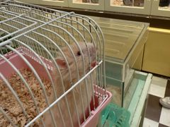 -龙猫仔乐园(惠福东路店)