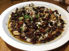 -三猫黑鱼花(南大店)