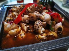 -海儀美食楼(湾仔海鲜街店)