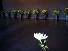 -侵华日军南京大屠杀遇难同胞纪念馆