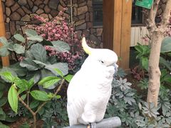 -南宫五洲植物乐园