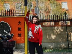 -三里屯东五街银杏大道