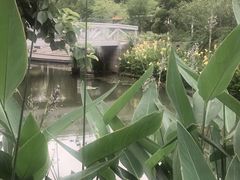 -兰溪青年公园