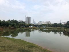 -福田红树林生态公园
