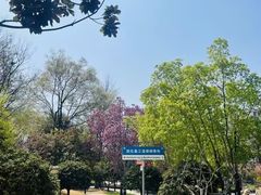 -青岛鑫江温德姆酒店