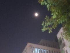 -番禺广场(市桥街道)